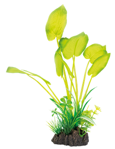 SuperFish Art Plant 25CM Echinodorus