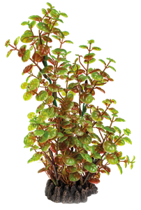 SuperFish Art Plant 25CM Rotala