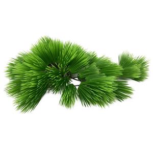 Aqua D'ella Eleocharis Groen 22cm