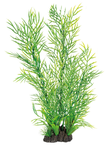 SuperFish Art Plant 40CM Ceratopteris