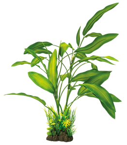 SuperFish Art Plant 40CM Cryptocoryne