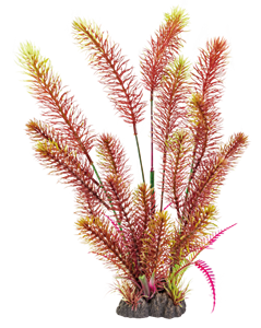SuperFish Art Plant 40CM Myriophyllum Red