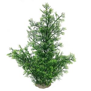 Aqua D'ella Phoenix plant XL - Groen