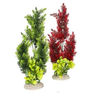 Aqua D'ella Plant elodea densa assorti XL