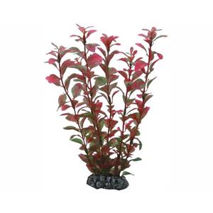 Hobby Plant Ludwigia 60CM