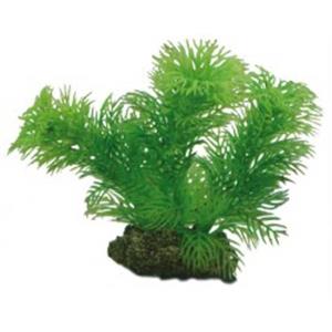 Hobby Plant Egeria 34CM