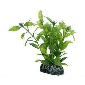 Hobby Plant Hygrophila 13CM