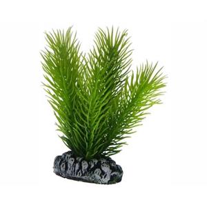 Hobby Plant Mayaca 16CM