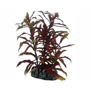 Hobby Plant Nesaea 13CM
