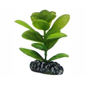 Hobby Plant Saururus 7CM