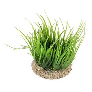 Aqua D'ella Helanthium Groen 8,5x8,5x10cm