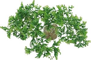 Sydeco Kunstplant Tropicalmoss 7CM
