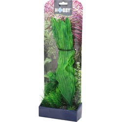 Hobby Plantasy Set 1