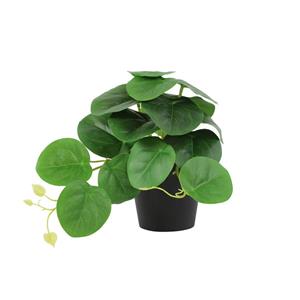 Countrylifestyle Kunstplant Peperomia groen