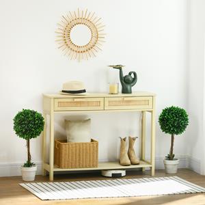 HOMCOM set van 2 kunstmatige buxusbomen, realistische kunstplanten met kunstmos, decoratief, onderhoudsvriendelijk, 28 x 28 x 60 cm, groen | Aosom.nl