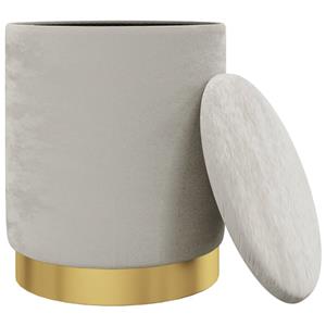 VidaXL Hocker met opbergruimte rond fluweel lichtgrijs
