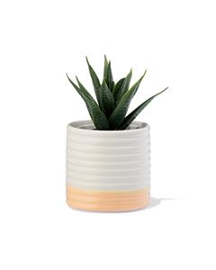 HEMA Bloempot 7.1x7x9.9cm Keramiek Ribbel Crème (creme)