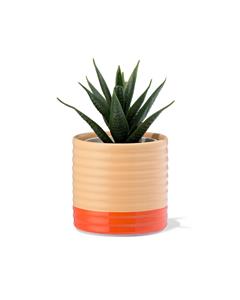 HEMA Bloempot 7.1x7x9.9cm Keramiek Ribbel Perzik (perzik)