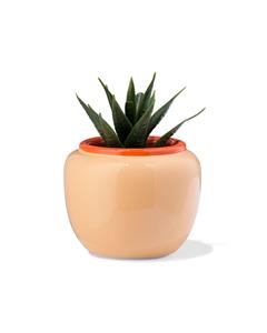 HEMA Bloempot 9x7x7.4cm Keramiek Perzik (perzik)