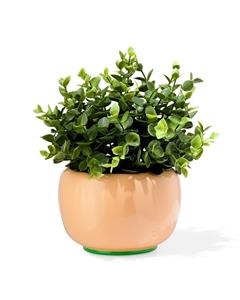 HEMA Bloempot 15x10x10cm Keramiek Perzik (perzik)
