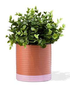 HEMA Bloempot Ø12x14cm Keramiek Ribbel Terra (terra)