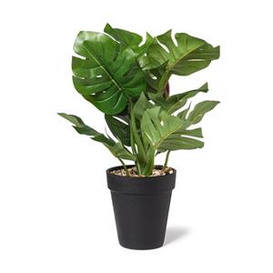 Xenos Kunstplant monstera - ø16x30 cm
