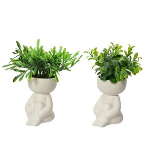 Decoris De  Kunstplant In Lichaamsvorm Pot Is Een Trendy En Onderhoudsvrije