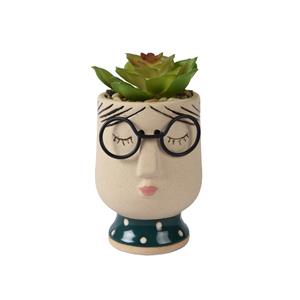 Decoris De  Kunstplant Succulent In Pot Met Gezicht Is Een Charmante En