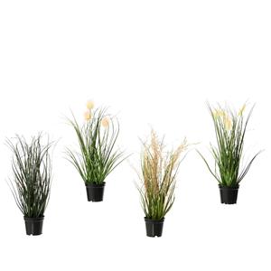 Decoris De  Kunstplant Grassoorten In Pot Biedt Een Gevarieerde En