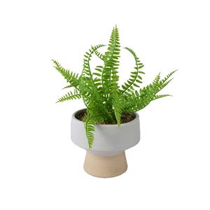Decoris De  Kunstplant Varen In Kunststof Pot Is Een Natuurgetrouwe En