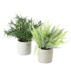 Boltze Home De Kunstplanten Van  Bieden Diverse Assorti Uitvoeringen, Waaronder