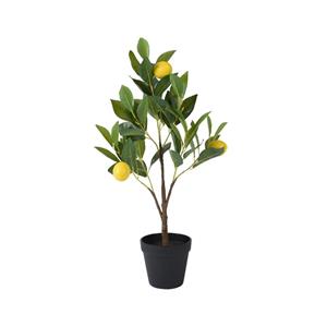 Decoris De  Citroen Boom In Pot, Gemaakt Van Duurzaam Polyester, Is Een
