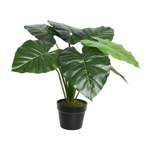 Decoris De  Kunstplant Taro In Pot Is Een Realistische En Onderhoudsvrije