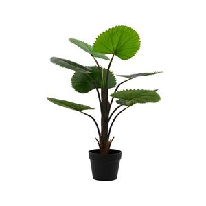 Decoris De  Kunstplant In Pot, Voorstellende De Licuala Palm Met 8 Bladeren,