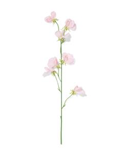 HEMA Kunstbloem Lathyrus Lichtroze (lichtroze)
