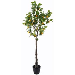 Signes Grimalt Kunstplanten  Citroenboom Xgra.