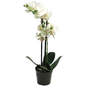 Bellatio Design Orchidee bloemen kunstplant Bora - bloemen/bloemetjes - wit - H55 cm - Phalaenopsis -