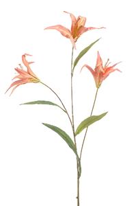 Emerald Lily wild spray x3 coral 100 cm  - 