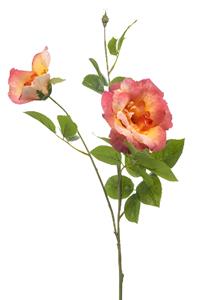 Emerald Rose liza spray x3 peach 80 cm  - 