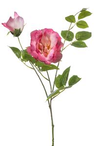 Emerald Rose liza spray x3 pink 80 cm  - 