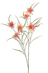 Emerald Aquilegia spray peach 84 cm  - 