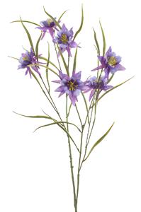Emerald Aquilegia spray purple 84 cm  - 