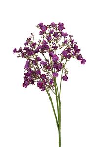Louis maes Gypsophila l70cm paars kunstbloem  - 