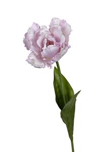 Louis maes Papegaaitulp l66cm lila kunstbloem  - 