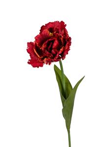 Louis maes Papegaaitulp l66cm rood/oranje kunstbloem  - 