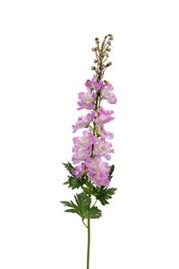 Louis maes Delphinium l78cm mauve kunstbloem  - 