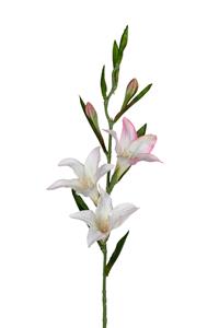 Louis maes Gladiolus l70cm wit/roze kunstbloem  - 