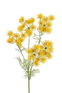 Louis maes Wildwortel l80cm geel kunstbloem  - 