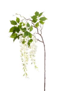 Emerald Wisteria branch white 145 cm  - 