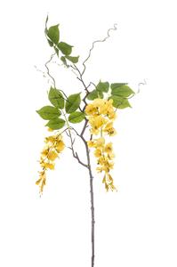 Emerald Wisteria branch yellow 145 cm  - 